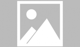 漫画咖啡厅危机,一场创意与现实的碰撞